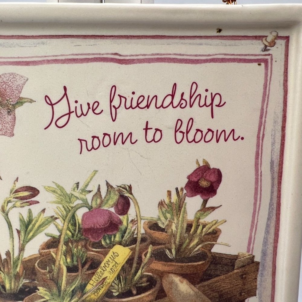 Bloom - Picture 2 of 7